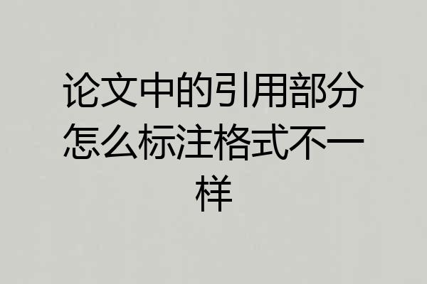 论文中的引用部分怎么标注格式不一样