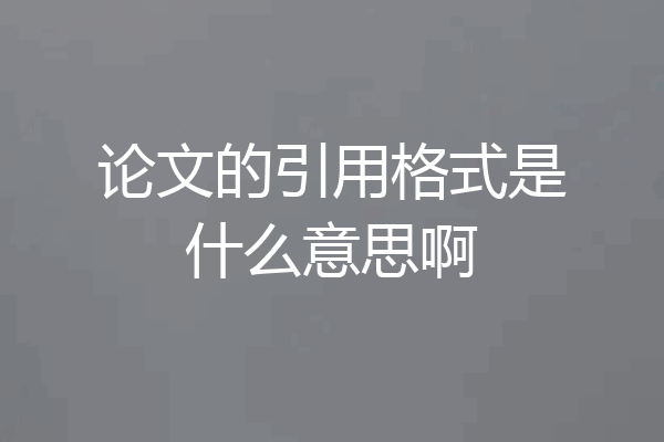 论文的引用格式是什么意思啊