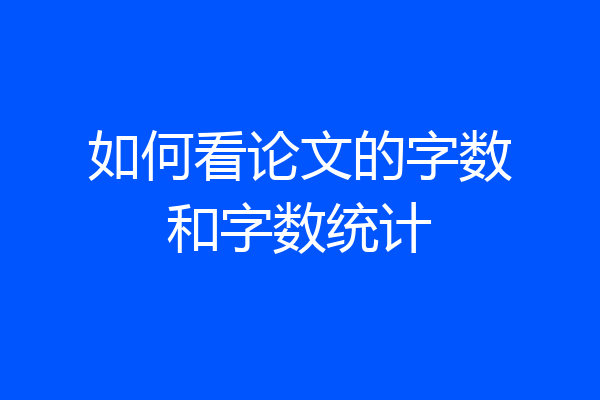 如何看论文的字数和字数统计