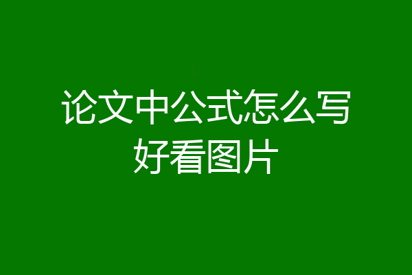 论文中公式怎么写好看图片
