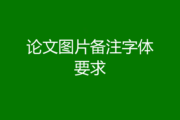 论文图片备注字体要求