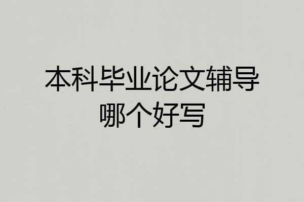 本科毕业论文辅导哪个好写
