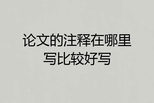 论文的注释在哪里写比较好写