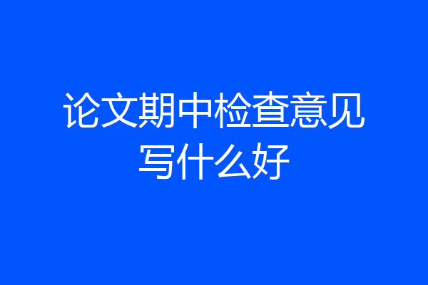 论文期中检查意见写什么好