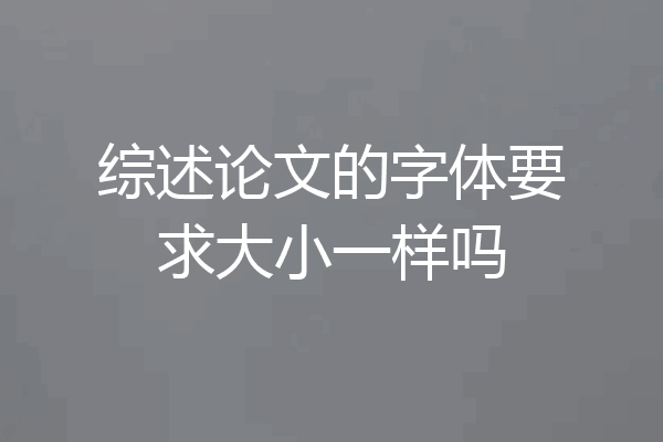 综述论文的字体要求大小一样吗