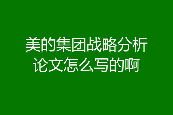 美的集团战略分析论文怎么写的啊