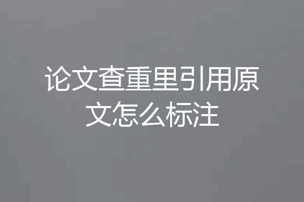 论文查重里引用原文怎么标注