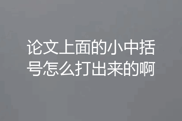 论文上面的小中括号怎么打出来的啊