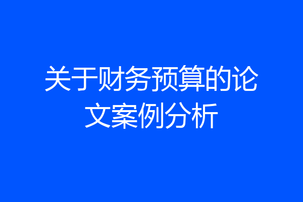 关于财务预算的论文案例分析