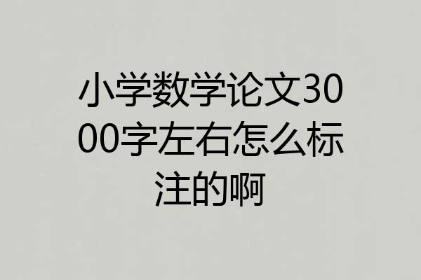 小学数学论文3000字左右怎么标注的啊