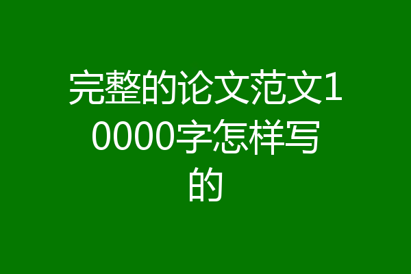完整的论文范文10000字怎样写的