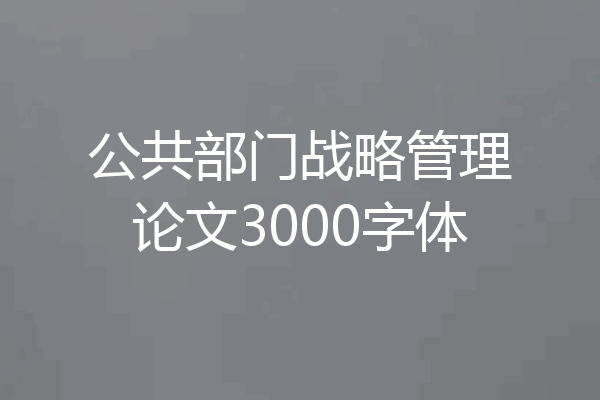 公共部门战略管理论文3000字体