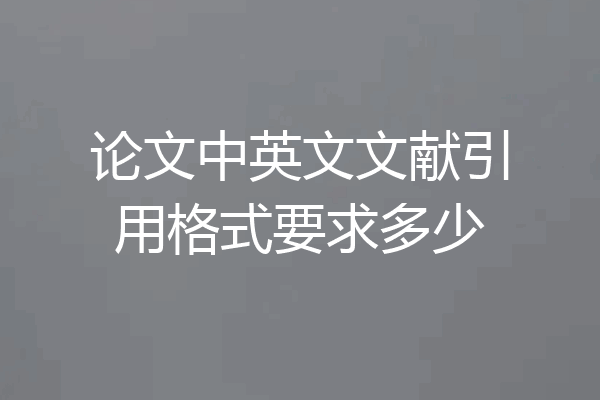 论文中英文文献引用格式要求多少