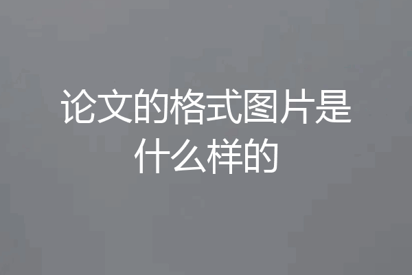 论文的格式图片是什么样的