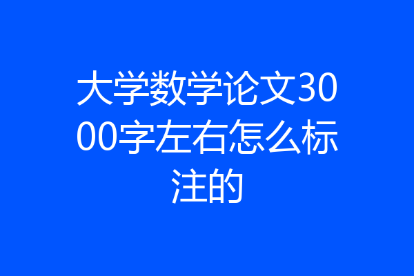 大学数学论文3000字左右怎么标注的