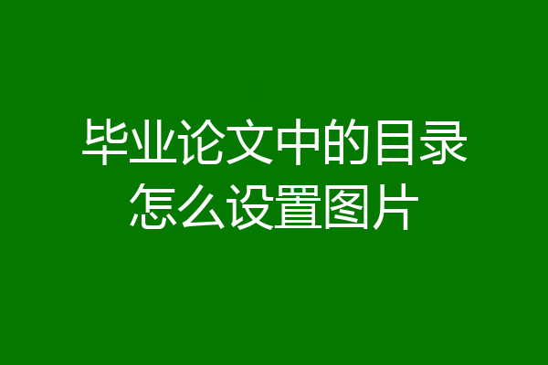 毕业论文中的目录怎么设置图片