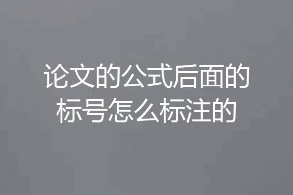 论文的公式后面的标号怎么标注的