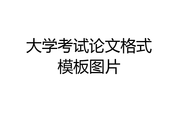 大学考试论文格式模板图片