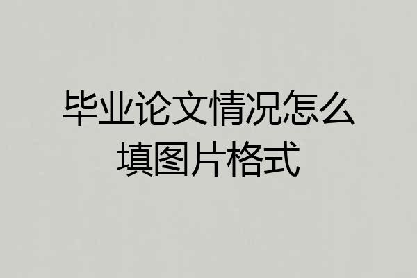 毕业论文情况怎么填图片格式