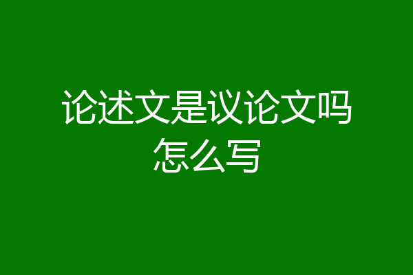 论述文是议论文吗怎么写