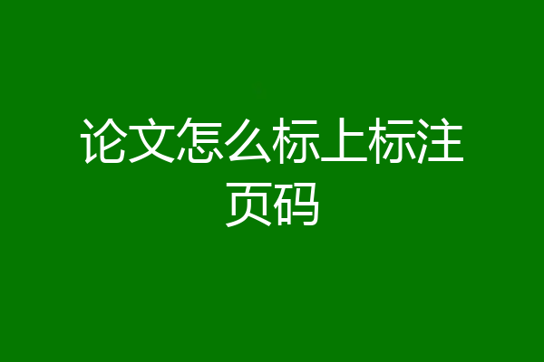 论文怎么标上标注页码
