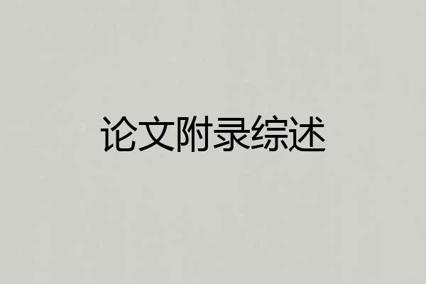 论文附录综述
