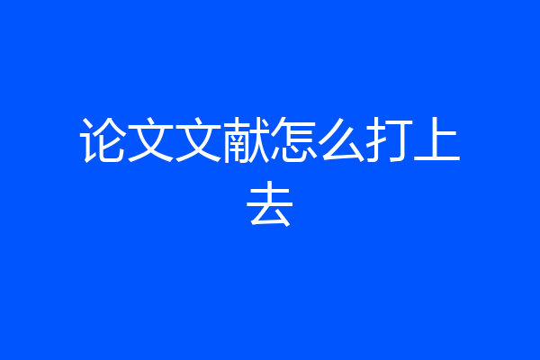 论文文献怎么打上去