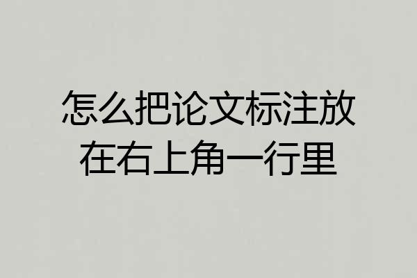 怎么把论文标注放在右上角一行里