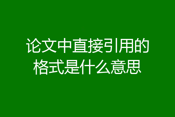 论文中直接引用的格式是什么意思