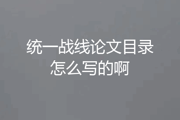 统一战线论文目录怎么写的啊