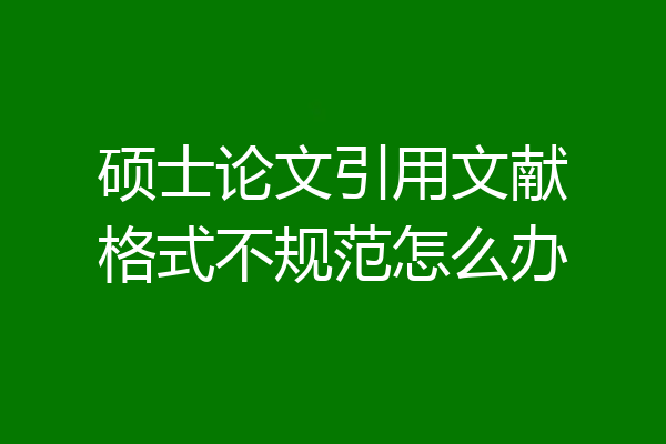 硕士论文引用文献格式不规范怎么办