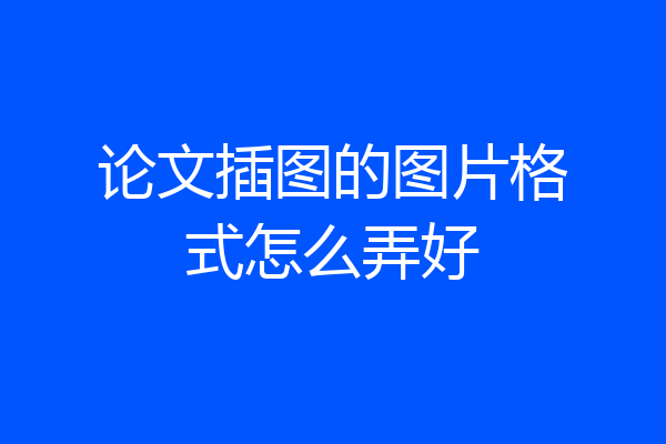 论文插图的图片格式怎么弄好