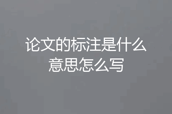 论文的标注是什么意思怎么写