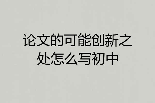 论文的可能创新之处怎么写初中