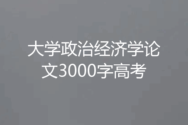 大学政治经济学论文3000字高考