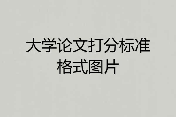 大学论文打分标准格式图片