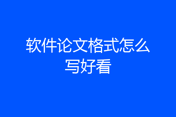 软件论文格式怎么写好看
