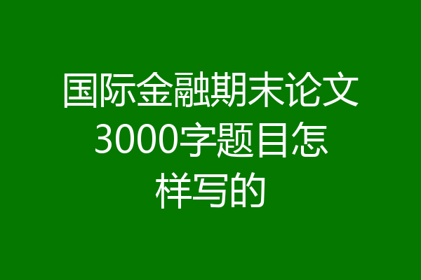 国际金融期末论文3000字题目怎样写的