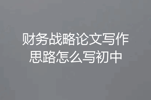 财务战略论文写作思路怎么写初中