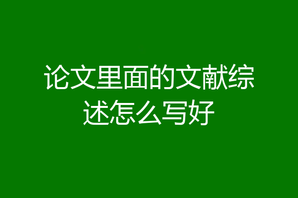 论文里面的文献综述怎么写好