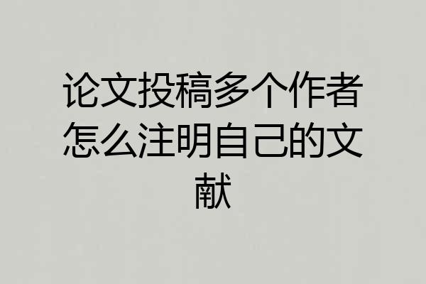 论文投稿多个作者怎么注明自己的文献