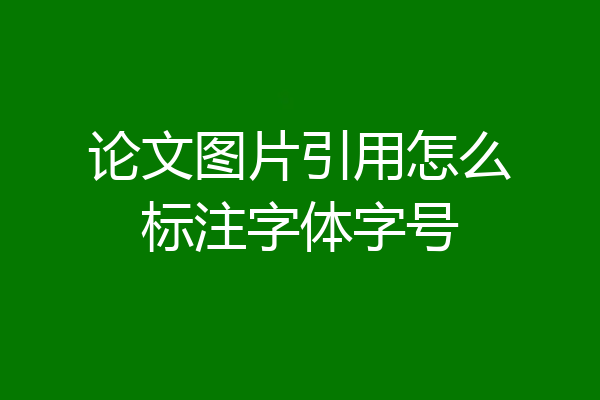 论文图片引用怎么标注字体字号