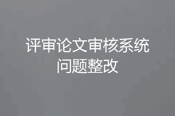 评审论文审核系统问题整改