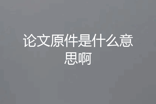 论文原件是什么意思啊