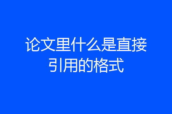 论文里什么是直接引用的格式