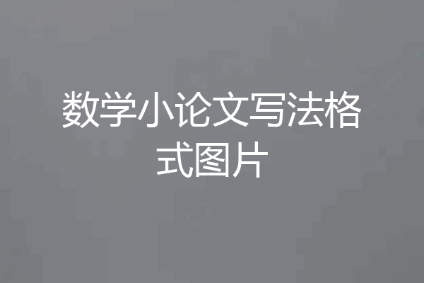 数学小论文写法格式图片