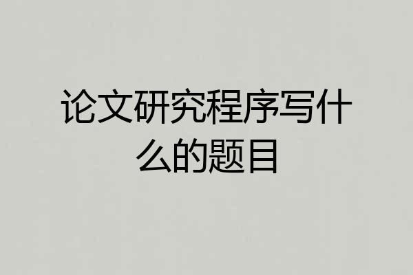 论文研究程序写什么的题目