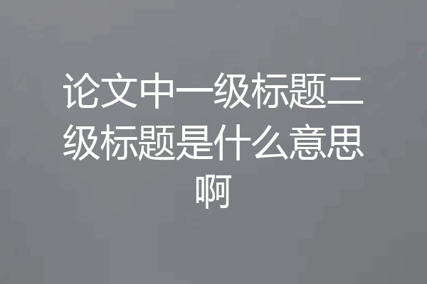 论文中一级标题二级标题是什么意思啊