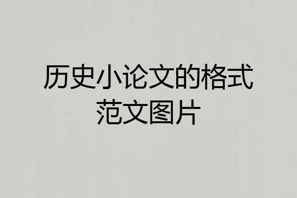 历史小论文的格式范文图片
