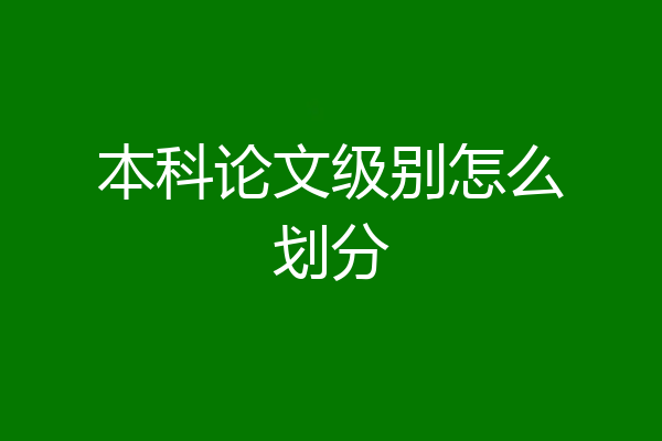 本科论文级别怎么划分